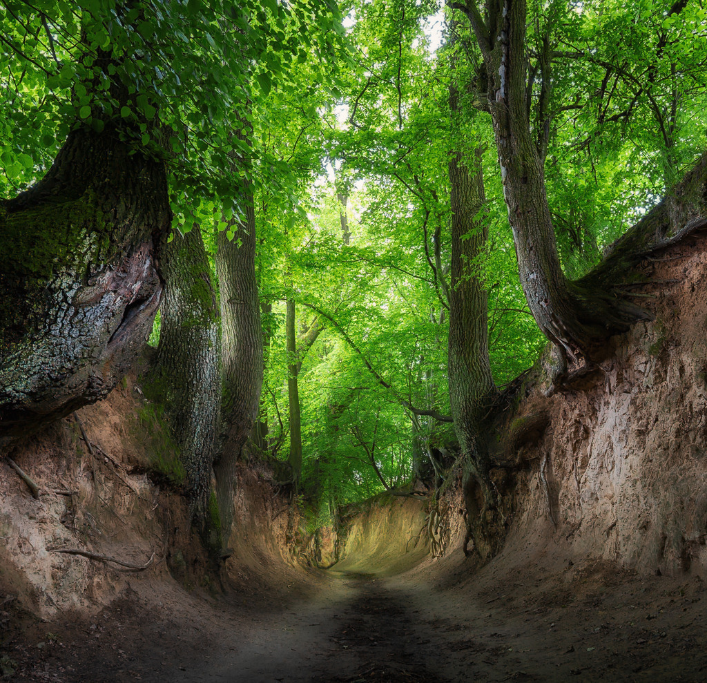 Kazimiers Dolny 4 | Polen - Realisiert mit Pictrs.com