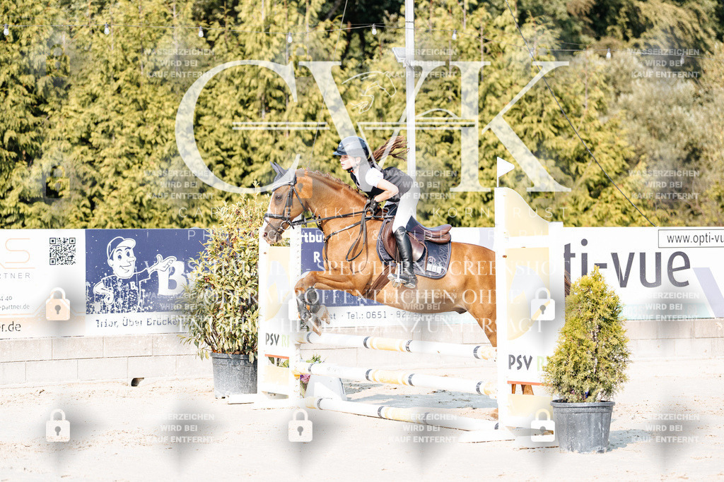 CK902730 | Turnierfotografie Pferdefotografie Trier Rheinland-Pfalz Pferdesport Reitsport Tierfotografie Sportfotografie Pferdevideo Pferdevideografie Equestrianvideography equestrianphotography  - Realisiert mit Pictrs.com