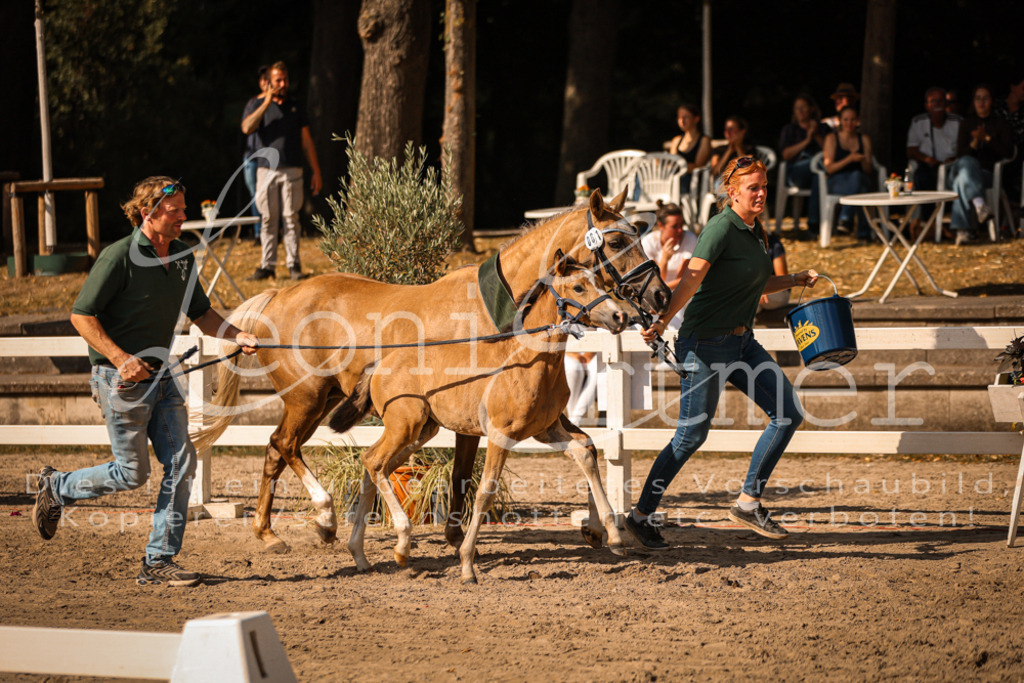 10.DoRP00245 | Leoni Ertmer Photography - Realisiert mit Pictrs.com