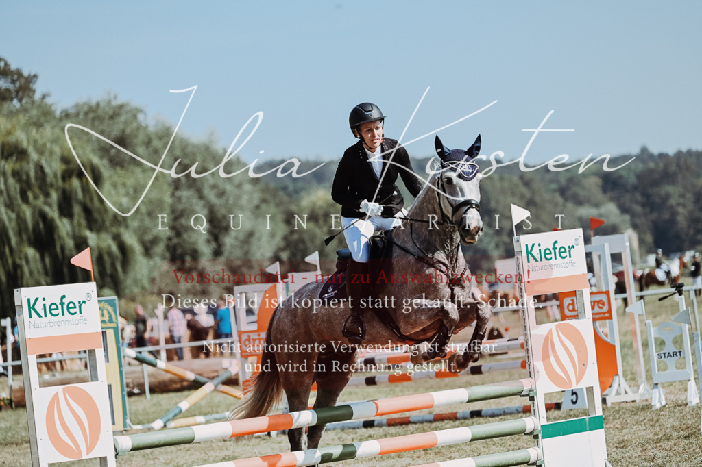 DSC_9479 | Pferde- und Turnierfotografie in Westsachsen. Pferdeportraits, Auftragszeichnungen und intuitive Kunst.