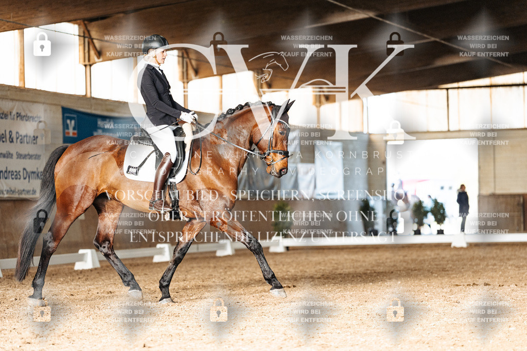 CK903067 | Turnierfotografie Pferdefotografie Trier Rheinland-Pfalz Pferdesport Reitsport Tierfotografie Sportfotografie Pferdevideo Pferdevideografie Equestrianvideography equestrianphotography  - Realisiert mit Pictrs.com