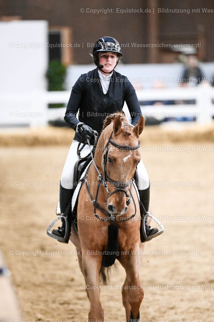 20260307_Hengstvorstellung-Marbach_0149 | equistock