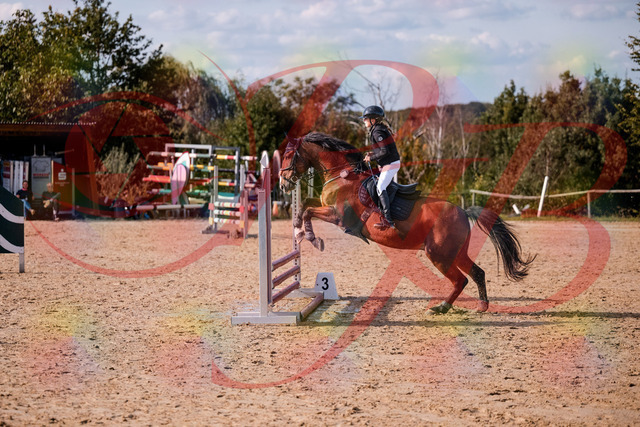 2026_10_03_Siefer-Hof_154639_Z81_65350601 | Professionelle Reitsport-, Turnier- und Eventfotografie von Robert Broda. Galerien mit ausgewählten und bearbeiteten Bildern direkt online ansehen und bestellen.