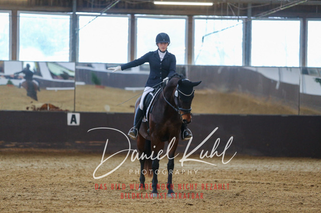 IMG_7598 | Turniersportfotografie; Pferdefotografie; Dressurfotografie