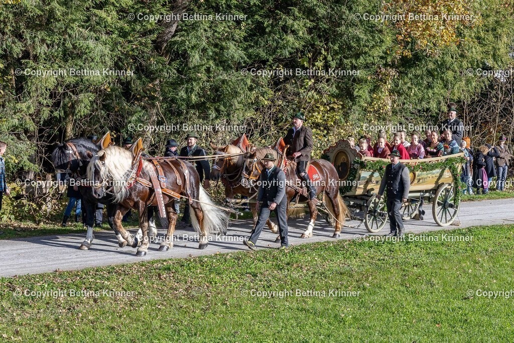 LBT24-675 | foto-bettina-krinner - Realisiert mit Pictrs.com