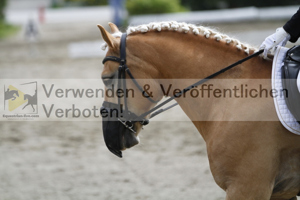 _MG_1024 | equestrian-live-com