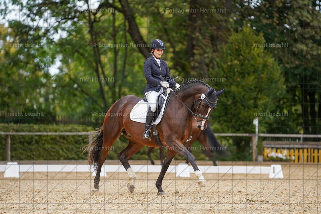 20231007-SN_00604 | Diessen am Ammersee, 2023, Dressur- und Springturnier, Reitsport, Turnierfotografie, Pferdebilder, Reitbilder, Turnierfotografen Bayern, Fotoagentur Herrmann