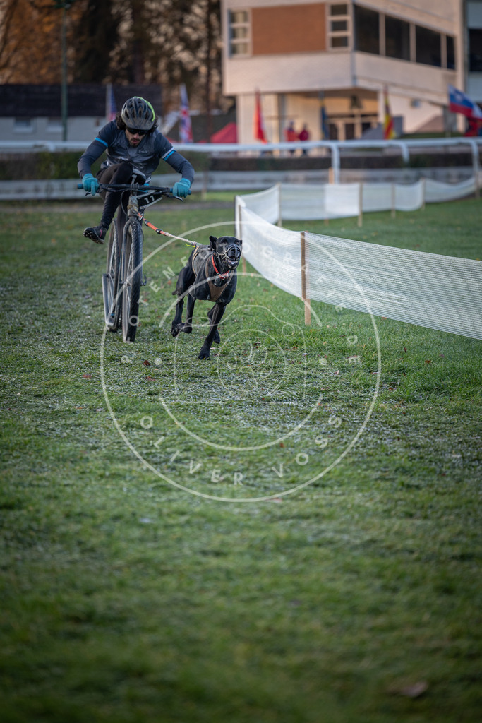 CaniXpix_0L8A1089 | Hundefotografie, Tierfotograf, Pfotenfotografie, Fotoshooting Hund, Hunde Portrait, Hundesport, Hundeportraits, Heideshooting, Hunde, Sportfotograf, Hundefotograf, Turnierhundsport, THS,  - Realisiert mit Pictrs.com