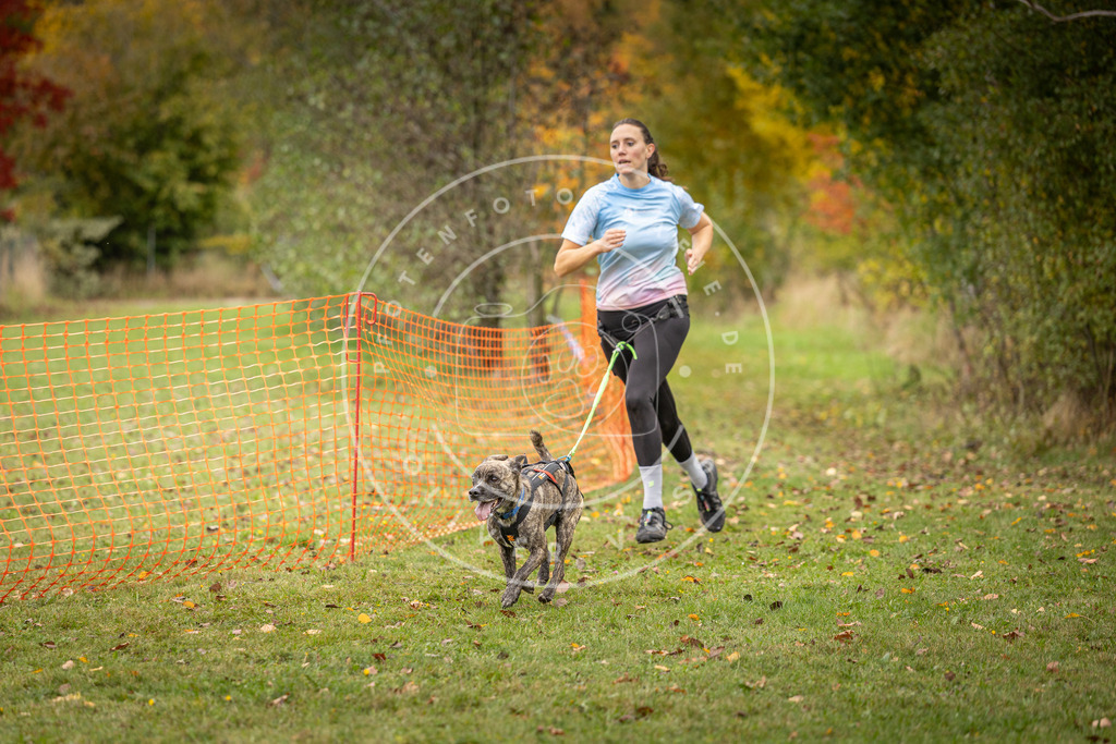 Pfotenfotografie_DV3A4836 | Hundefotografie, Tierfotograf, Pfotenfotografie, Fotoshooting Hund, Hunde Portrait, Hundesport, Hundeportraits, Heideshooting, Hunde, Sportfotograf, Hundefotograf, Turnierhundsport, THS,  - Realisiert mit Pictrs.com