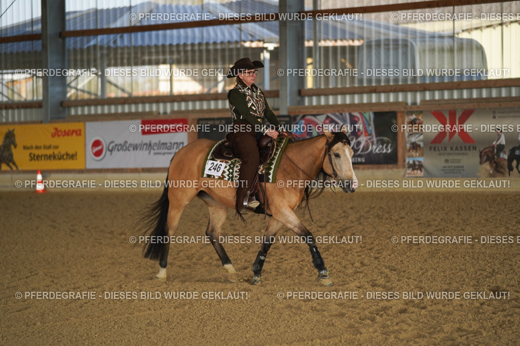 DSC08366 | Pferdegrafie