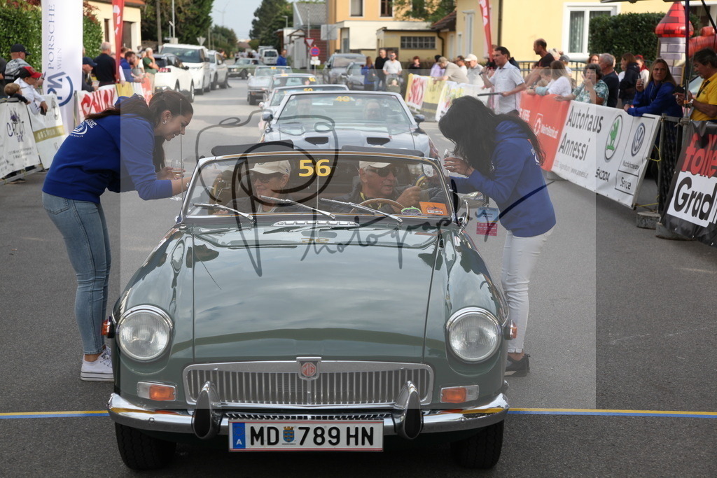 IMG_6129 | Gerhard Witt