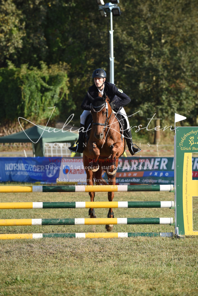 DSC_4958 | Pferde- und Turnierfotografie in Westsachsen. Pferdeportraits, Auftragszeichnungen und intuitive Kunst.