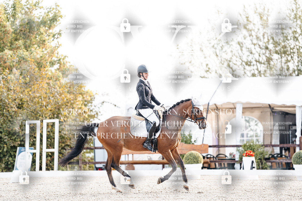 CK900397 | Turnierfotografie Pferdefotografie Trier Rheinland-Pfalz Pferdesport Reitsport Tierfotografie Sportfotografie Pferdevideo Pferdevideografie Equestrianvideography equestrianphotography  - Realisiert mit Pictrs.com