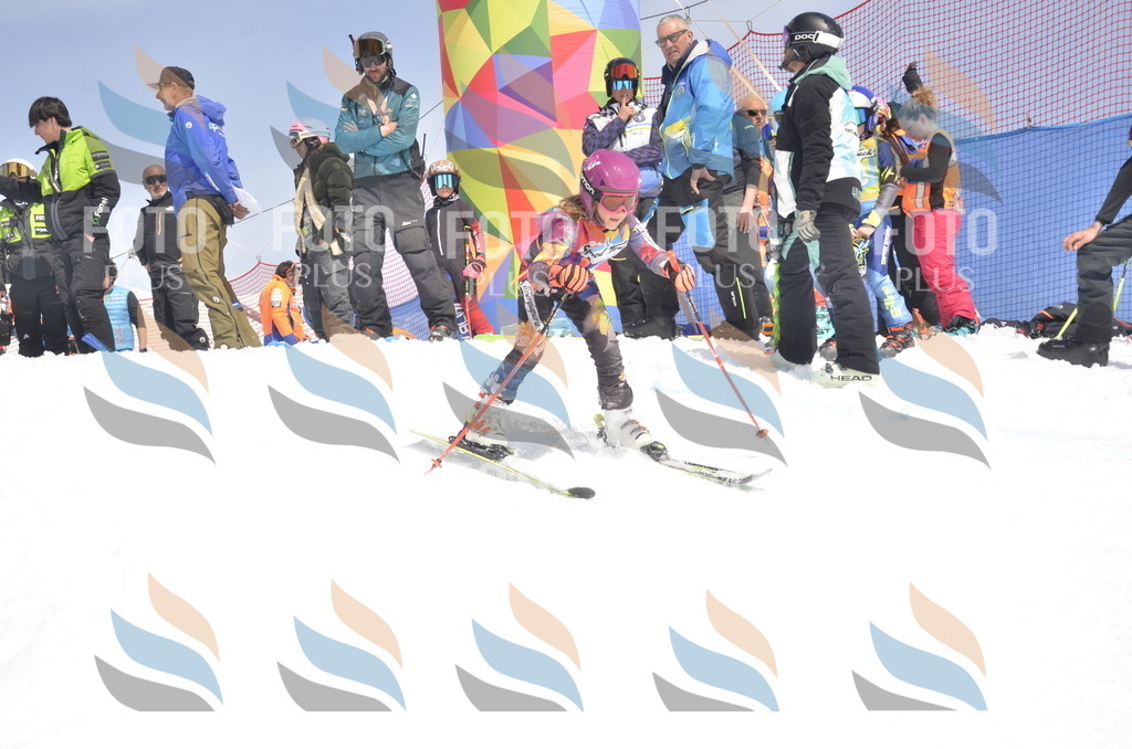 _ELE9155 | holidayphoto