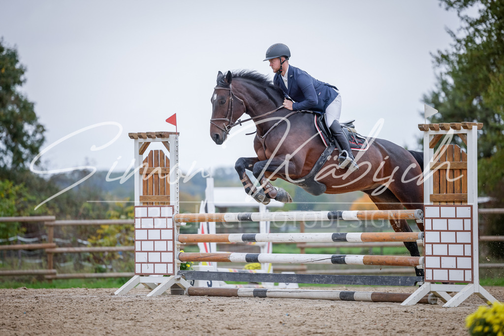20251012-_3LI4114 | Tierfotografie Pferde, Hunde, Katzen, Haustiere.
Turnierfotografie Reitturniere, Reiten, Springreiten, Dressur in Hanau, dem Main-Kinzig-Kreis und dem Rhein-Main- Gebiet um Frankfurt