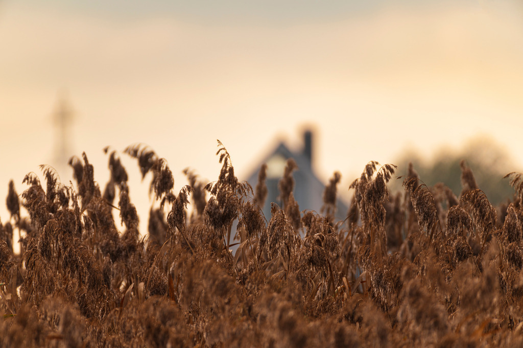 2022_10_31_HAMBURG_MCP5300 | Hochwertig gedruckte Fotografien für die Wand, als Kalender und zum Verschenken. Hamburg & Norddeutschland und überall wo ich mit der Kamera unterwegs war.