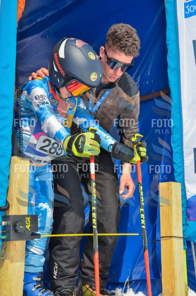 _ELE8001 | holidayphoto