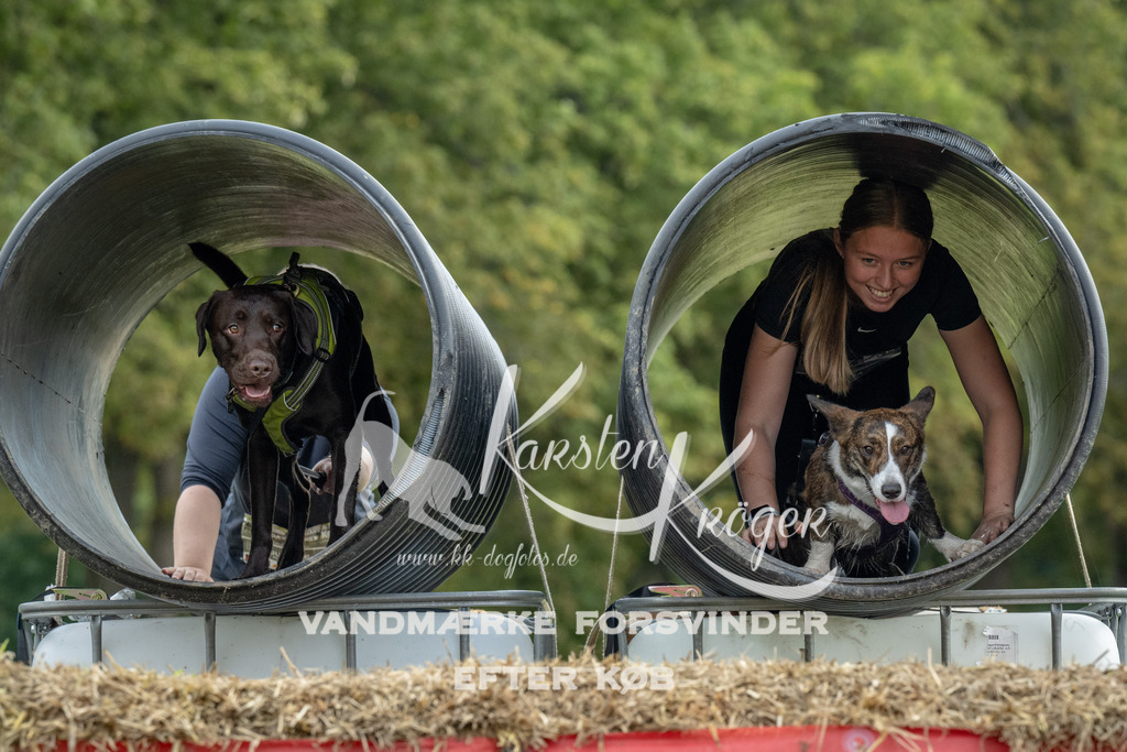 1034_ZZ92415 | kk-dogfotos