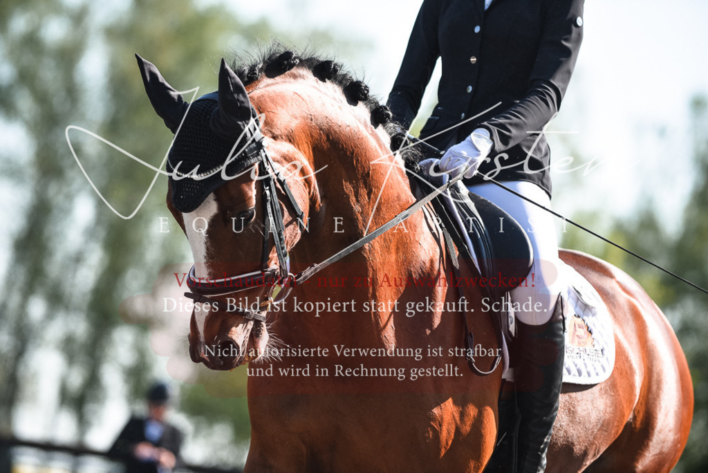 DSC_8674 | Pferde- und Turnierfotografie in Westsachsen. Pferdeportraits, Auftragszeichnungen und intuitive Kunst.
