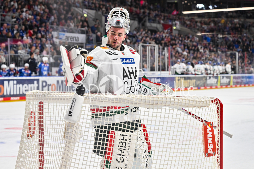 Adler Mannheim - Augsburger Panther | MANNHEIM, DEUTSCHLAND - 25. FEBRUAR: im Bild Peyton JONES (Augsburger Panther 41) / Einzelfoto / Freisteller während dem Match zwischen den Adler Mannheim und den Augsburger Panthern am 45. Spieltag der Penny DEL in der SAP Arena