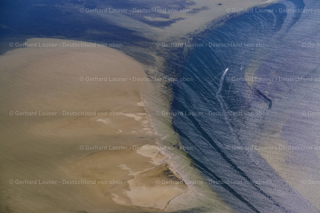 3638071 | Nationalpark Vorpommersche Bodenlandschft,  Bock