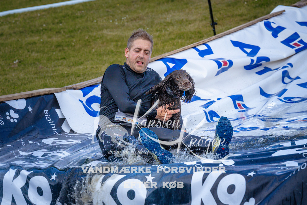 _ZZ946701002 | kk-dogfotos