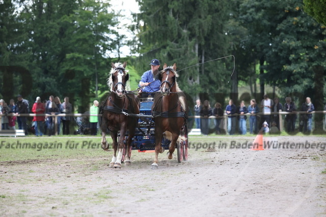 Sankt_Märgen_Rossfest_2025_Schauprogramm (211) | Alle Fotos der Reiterjournal Fotografin Doris Matthaes im Reiterjournal Online-Fotoshop. - Realisiert mit Pictrs.com