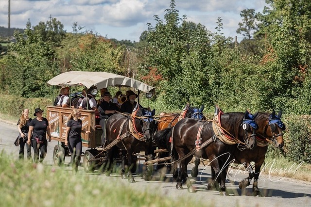 7V6A1081 | natalia-nirschl-photography