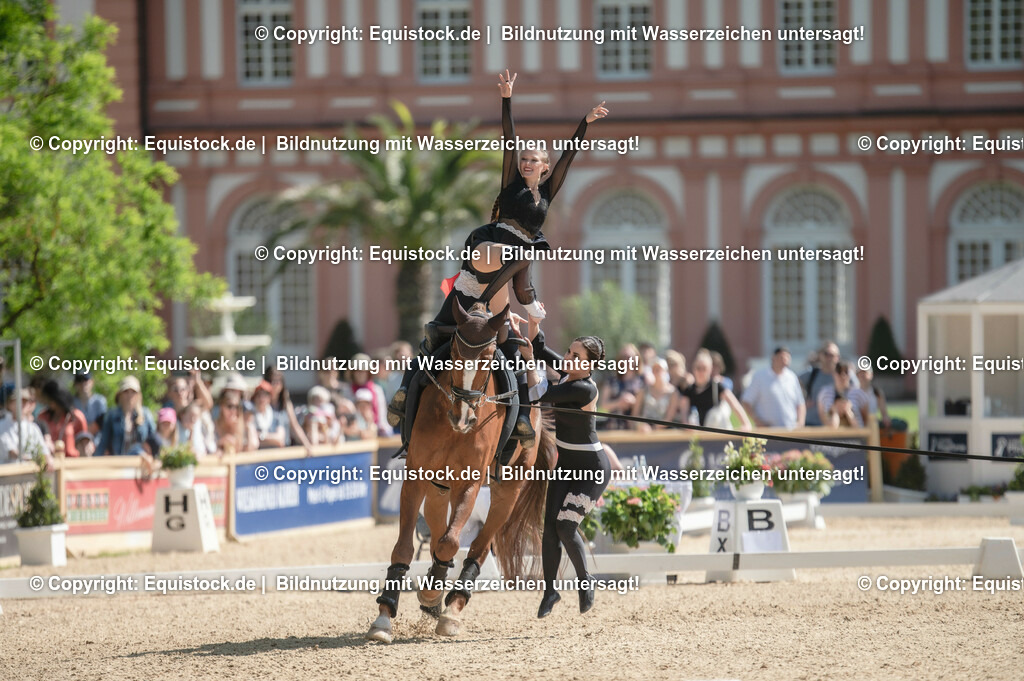 20230528_Voltigieren_NASPA_0586 | equistock