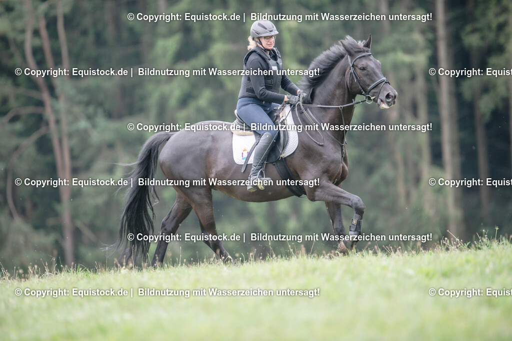 20250726_Vielseitigkeitslehrgang-Marbach_0661 | Foto: Thomas Hartig
