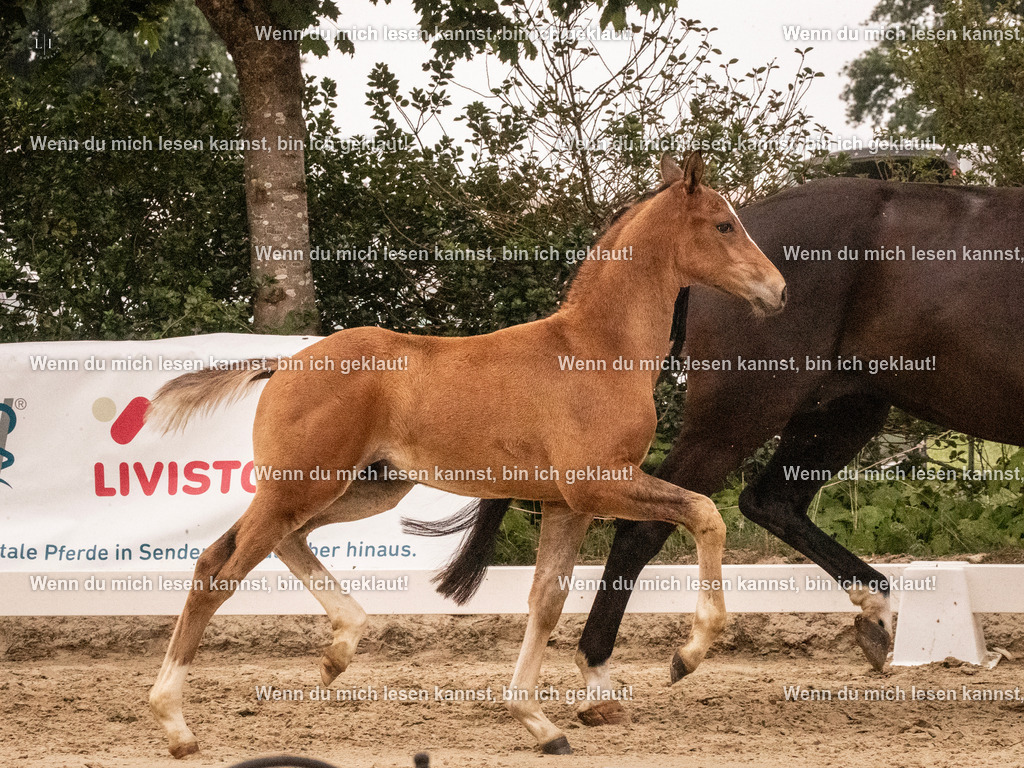 A10I1371 | photographylinaismer - Realisiert mit Pictrs.com