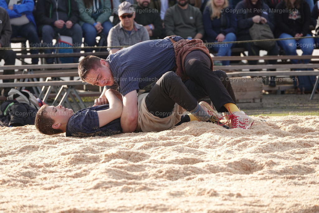 DSC03573 | Schwingen - Realisiert mit Pictrs.com