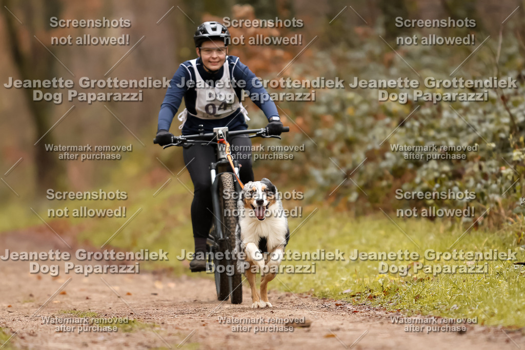 Dog Paparazzi - Speedhunter Mannheim  2025-8 | Dog Paparazzi Jeanette Grottendiek Fotografie & Videografie