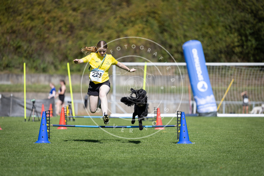 Pfotenfotografie_DV3A5585 | Hundefotografie, Tierfotograf, Pfotenfotografie, Fotoshooting Hund, Hunde Portrait, Hundesport, Hundeportraits, Heideshooting, Hunde, Sportfotograf, Hundefotograf, Turnierhundsport, THS,  - Realisiert mit Pictrs.com