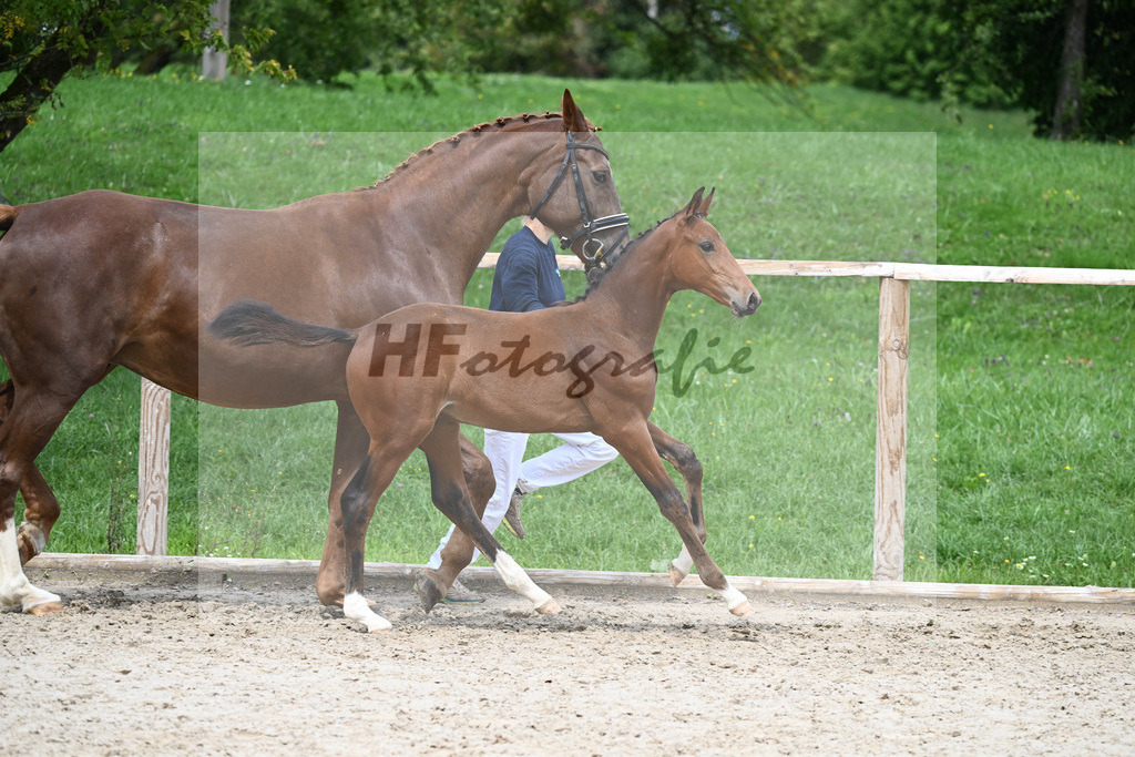 Kat-Nr. 17 HF Franklin_Hindrichs_25230556 | hf-fotografie - Realisiert mit Pictrs.com