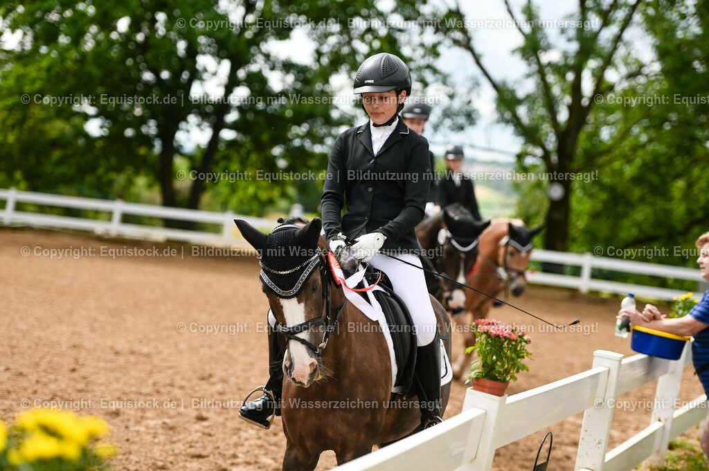 20230716_10-1_Reiter-WB Schritt - Trab - Galopp_0267 | equistock