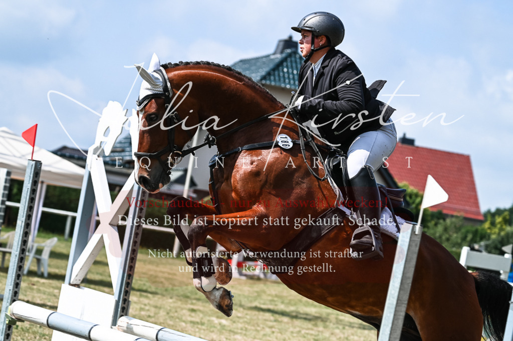 DSC_8702 | Pferde- und Turnierfotografie in Westsachsen. Pferdeportraits, Auftragszeichnungen und intuitive Kunst.