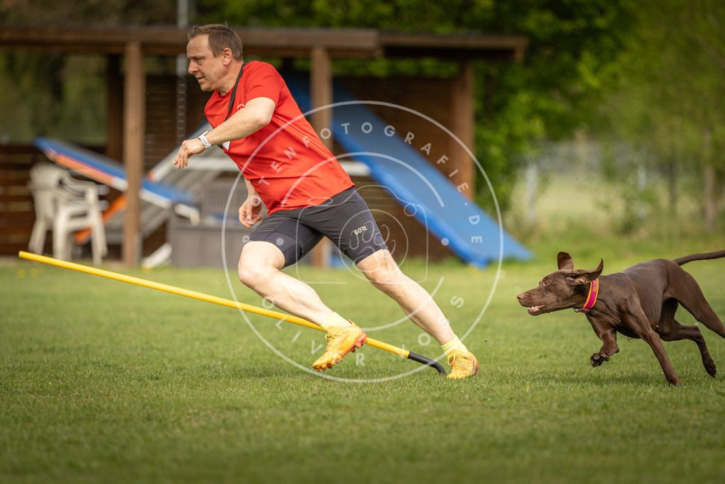 Pfotenfotografie_DV3A5283 | Hundefotografie, Tierfotograf, Pfotenfotografie, Fotoshooting Hund, Hunde Portrait, Hundesport, Hundeportraits, Heideshooting, Hunde, Sportfotograf, Hundefotograf, Turnierhundsport, THS,  - Realisiert mit Pictrs.com