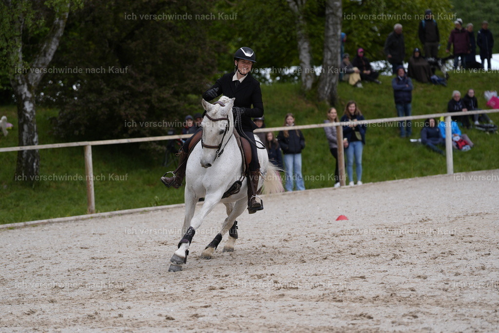 PI26_SP_Stoibphotography_DSC1838.JPG | working equitationturnier fotograf videograf stoibphotography marixx film working equitation deutschland reitsport turnierfotografie eventfotografie equestrian events