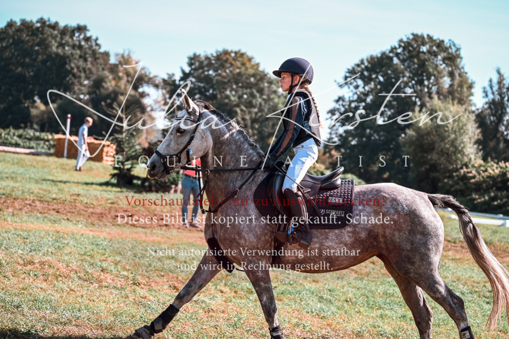 DSC_1149 | Pferde- und Turnierfotografie in Westsachsen. Pferdeportraits, Auftragszeichnungen und intuitive Kunst.