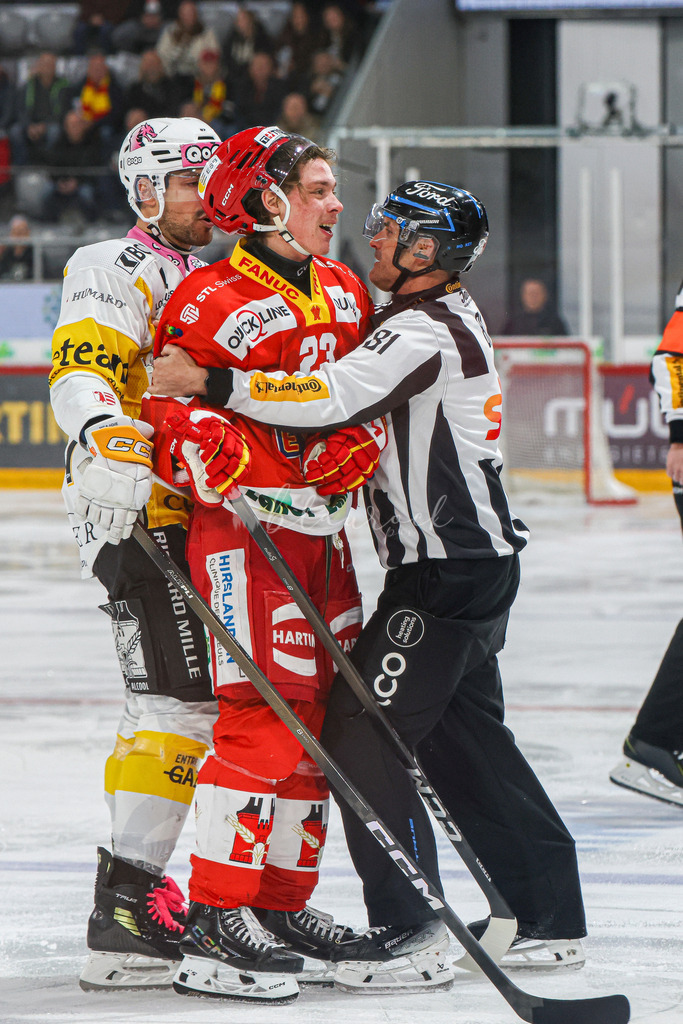 EHCB vs HCA 20260127_wb-9182 | Sportbilder, Sportfotograf, Hochzeits- und Eventfotografin, Flugshows, Portraits und Tiershooting, Aviation, Downhill, Nationalleague, Swissleague, International