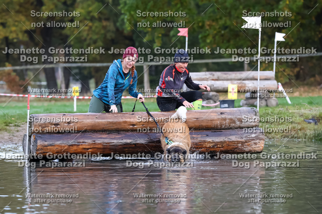 Dog Paparazzi - Strongdog 10-25-6504 | Dog Paparazzi Jeanette Grottendiek Fotografie & Videografie - Realisiert mit Pictrs.com