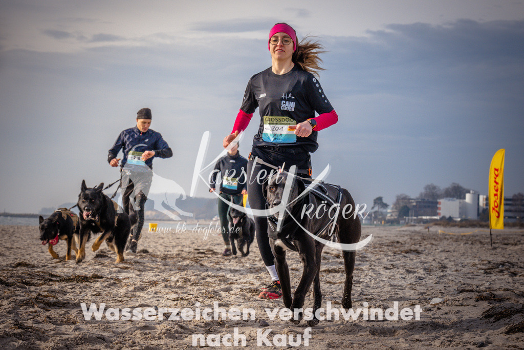 1012_ZZ94148-2 | kk-dogfotos