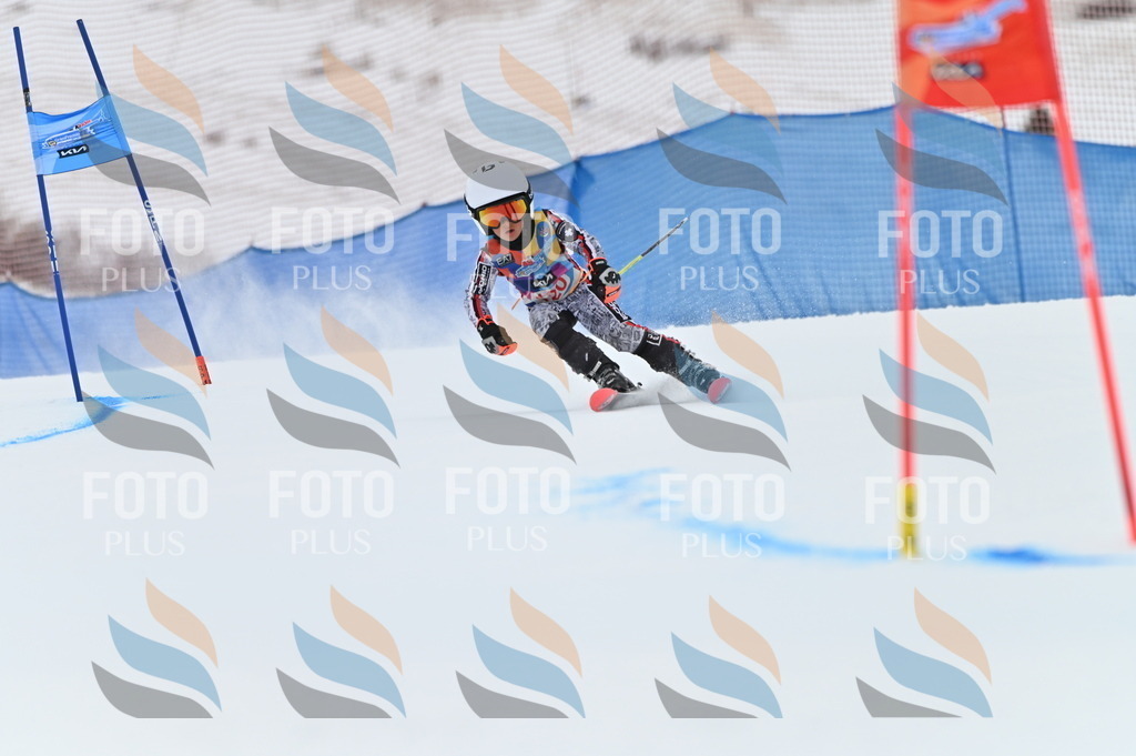 BGV_9840 | holidayphoto