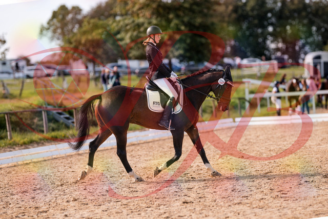 2026_10_03_Siefer-Hof_132532_Z81_76469787 | Professionelle Reitsport-, Turnier- und Eventfotografie von Robert Broda. Galerien mit ausgewählten und bearbeiteten Bildern direkt online ansehen und bestellen.