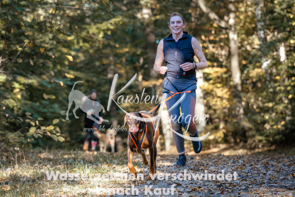 1034_ZZ90399 | kk-dogfotos