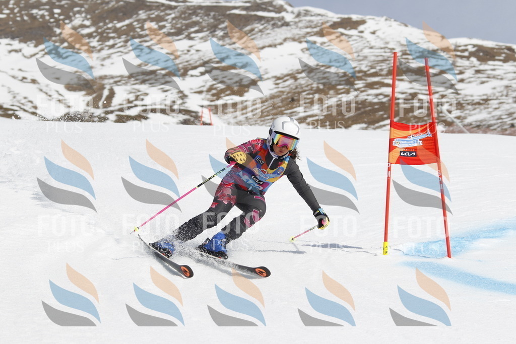 _U3G1470 | holidayphoto