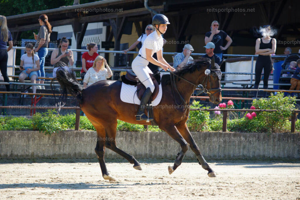 JHE_3916 | JoYa Fotografie - Realisiert mit Pictrs.com