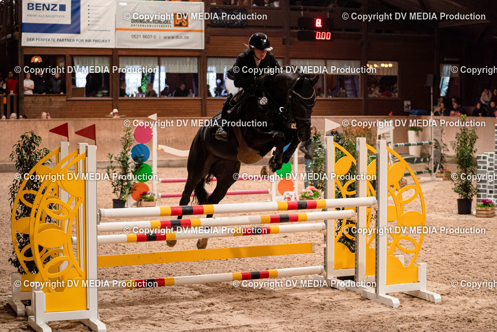 Springen Tag 2-664 | dv-media-shop - Realisiert mit Pictrs.com