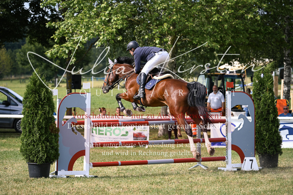 DSC_0784 | Pferde- und Turnierfotografie in Westsachsen. Pferdeportraits, Auftragszeichnungen und intuitive Kunst.